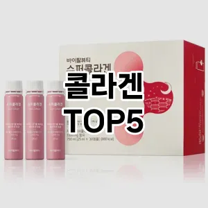 콜라겐 추천 TOP5