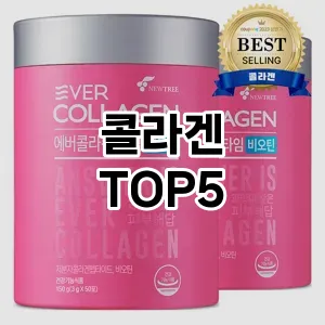 콜라겐 추천 TOP5쇼핑 베스트 차트