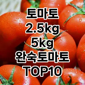 토마토 2.5kg 5kg 완숙토마토 추천 TOP10