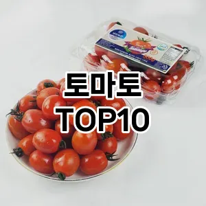 토마토 추천 TOP10