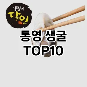 통영 생굴 추천 TOP10