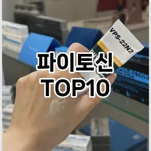 파이토신 추천 TOP10