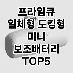 프라임큐 일체형 도킹형 미니 보조배터리  추천 TOP5