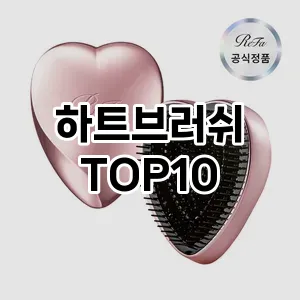 하트브러쉬 추천 TOP10