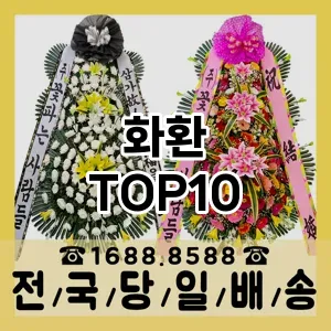 화환 추천 TOP10