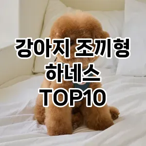 강아지 조끼형 하네스 추천 TOP10