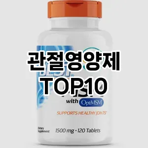 관절영양제 TOP10