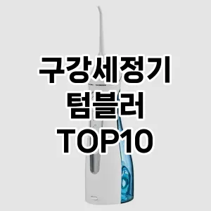 구강세정기 TOP10