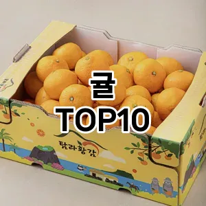 귤 추천 TOP10