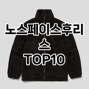 노스페이스후리스 추천 TOP10