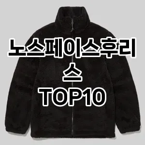 노스페이스후리스 추천 TOP10