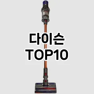 다이슨 추천 TOP10