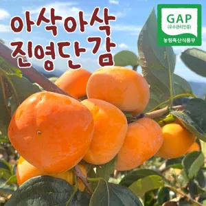 [진영단감] 아삭단감 2.5KG ,5.0kg 내외 태추 부유단감, 아삭달달 진영단감 2.5KG