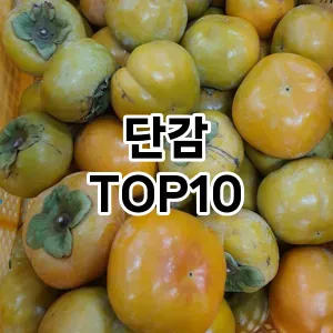 단감 추천 TOP10