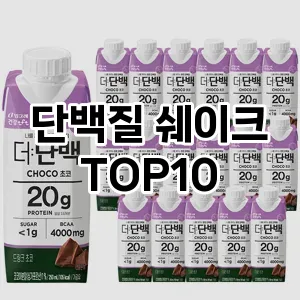 단백질 쉐이크 추천 TOP10