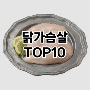 비데 추천 TOP10