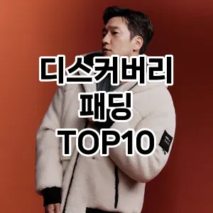 디스커버리 패딩 추천 TOP10