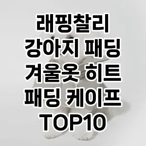 래핑찰리 강아지 패딩 겨울옷 히트 패딩 케이프 추천 TOP10