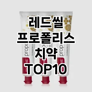 레드씰 프로폴리스 치약 추천 TOP10