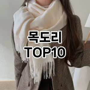 목도리 추천 TOP10