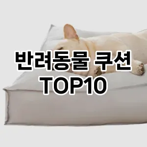 반려동물 쿠션 추천 TOP10