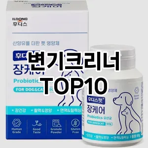 변기크리너 TOP10