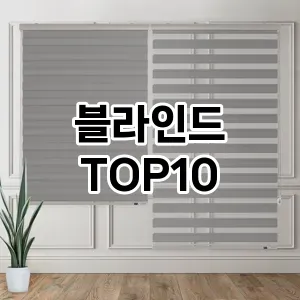 블라인드 추천 TOP10