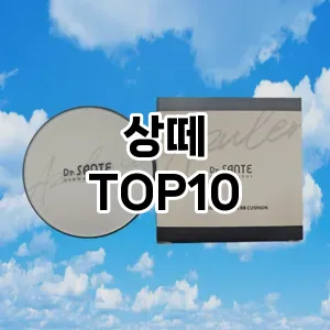 상떼 추천 TOP10