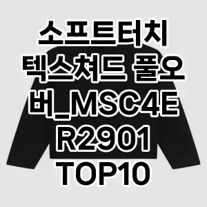 소프트터치 텍스쳐드 풀오버_MSC4ER2901 추천 TOP10