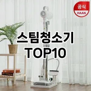 스팀청소기 추천 TOP10