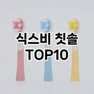 식스비 칫솔 추천 TOP10