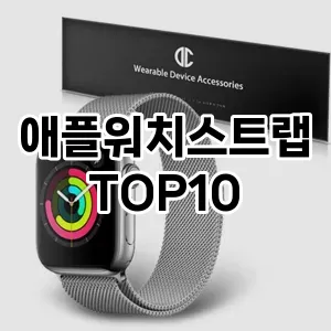 애플워치스트랩 추천 TOP10