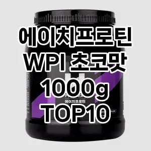 에이치프로틴 WPI 초코맛 1000g 추천 TOP10