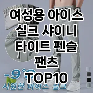 여성용 아이스 실크 샤이니 타이트 펜슬 팬츠  추천 TOP10