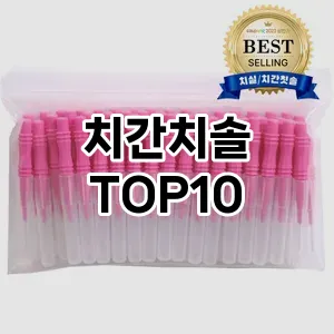 치간치솔 추천 TOP10