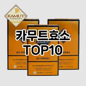 카무트효소 추천 TOP10