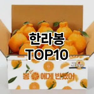 한라봉 추천 TOP10