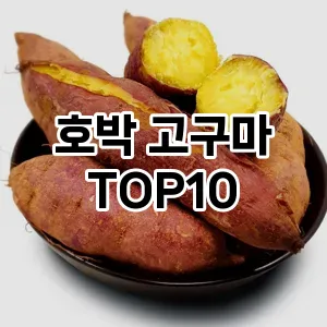 호박 고구마 TOP10