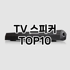 TV 스피커 TOP10