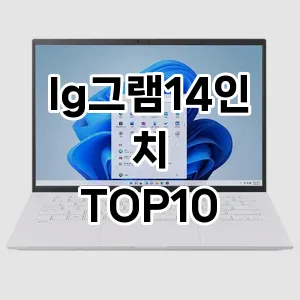 lg그램14인치