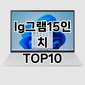 lg그램15인치