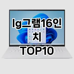 lg그램16인치