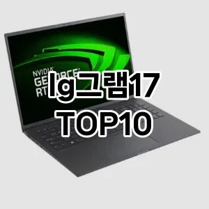 lg그램17