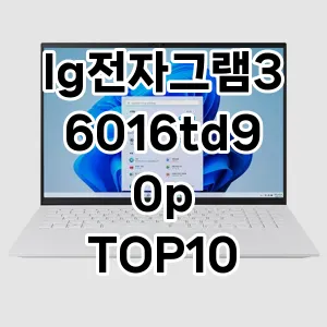 lg전자그램36016td90p