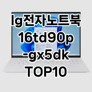 lg전자노트북16td90p-gx5dk