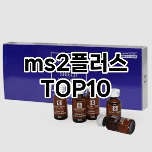 ms2플러스