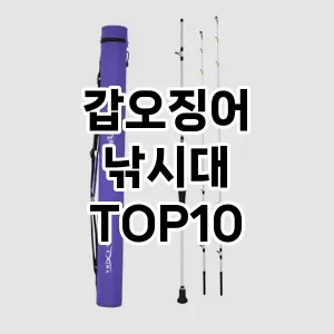 갑오징어 낚시대  TOP10