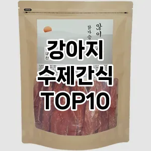 강아지 수제간식 TOP10