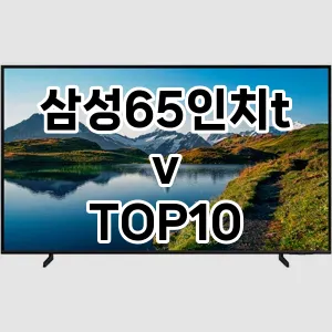 삼성65인치tv