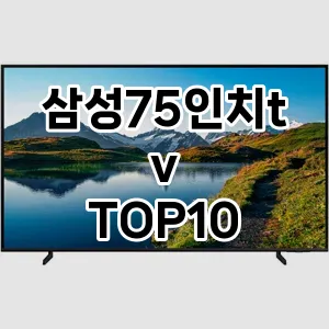 삼성75인치tv